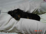 DSC01621.JPG