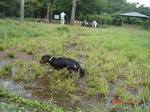DSC01576.JPG