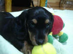 DSC02430.JPG