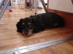 DSC02441.JPG