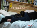 DSC01778.JPG