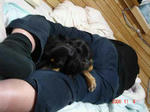 DSC01784.JPG