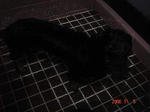 DSC01793.JPG
