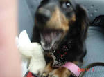 DSC01815.JPG