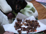DSC01825.JPG