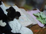 DSC01826.JPG