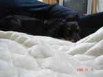 DSC01843.JPG
