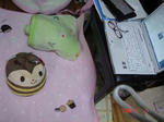 DSC01839.JPG