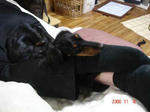 DSC01812.JPG