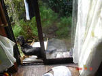 DSC01847.JPG