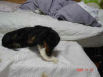DSC01894.JPG