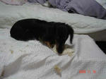 DSC01896.JPG