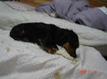 DSC01898.JPG