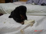 DSC01902.JPG