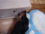 DSC01914.JPG