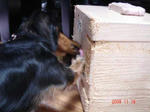 DSC01932.JPG