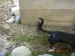 DSC01953.JPG