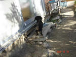 DSC01958.JPG