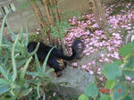 DSC01962.JPG