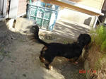 DSC01966.JPG