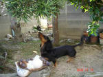 DSC01973.JPG