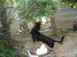 DSC01974.JPG