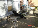 DSC01976.JPG