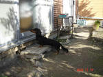 DSC01977.JPG