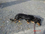 DSC01986.JPG