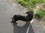 DSC01995.JPG