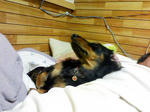 KC280009.jpg