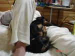 DSC01862.JPG