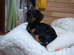DSC01806.JPG