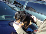 DSC02062.JPG