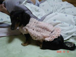 DSC02070.JPG