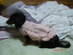 DSC02071.JPG