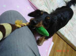 DSC02037.JPG