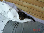 DSC02082.JPG