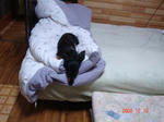 DSC02074.JPG