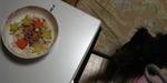 DSC02113.JPG