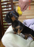 DSC02109.JPG
