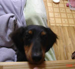 DSC02100.JPG