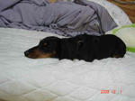DSC02030.JPG
