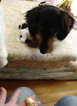 DSC02188.JPG