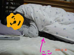 DSC02173.JPG