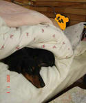 DSC02184.JPG