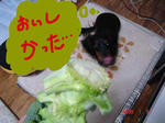 DSC02229.JPG