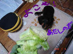 DSC02230.JPG