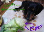DSC02234.JPG