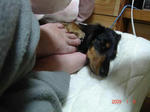 DSC02266.JPG